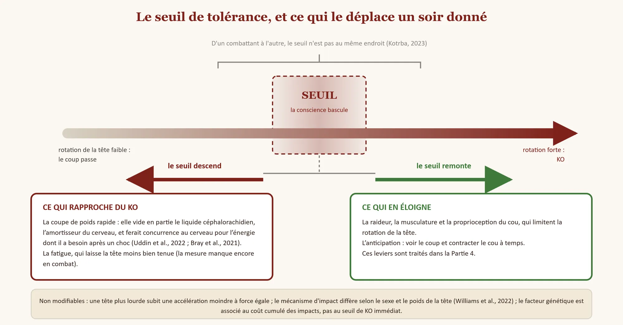 Axe horizontal de la rotation de la tête, de faible (le coup passe) à forte (KO), avec au centre une zone de seuil où la conscience bascule, dont la position varie d'un combattant à l'autre. Le seuil descend avec la coupe de poids rapide et la fatigue ; il remonte avec la raideur, la musculature et la proprioception du cou, et avec l'anticipation. En bas, les facteurs non modifiables : poids de la tête, sexe, génétique.